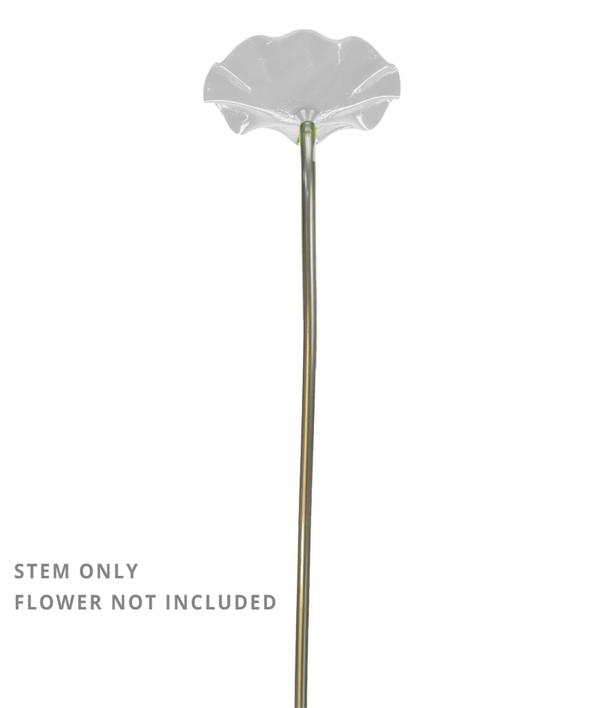 Stems (without flowers) - Glass Flowers by Scott Johnson